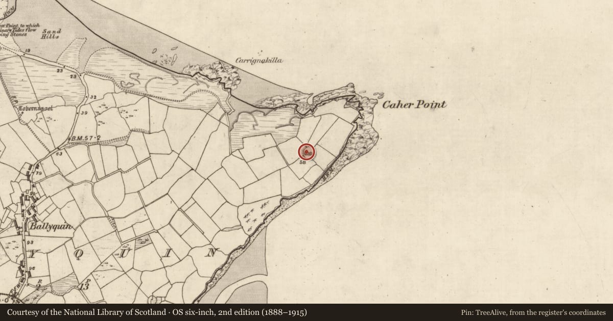 Ordnance Survey six-inch map, 2nd edition (1888–1915) covering the location of Souterrain, Baile Uí Bhuinn, County Kerry, with a pin at the register's coordinates