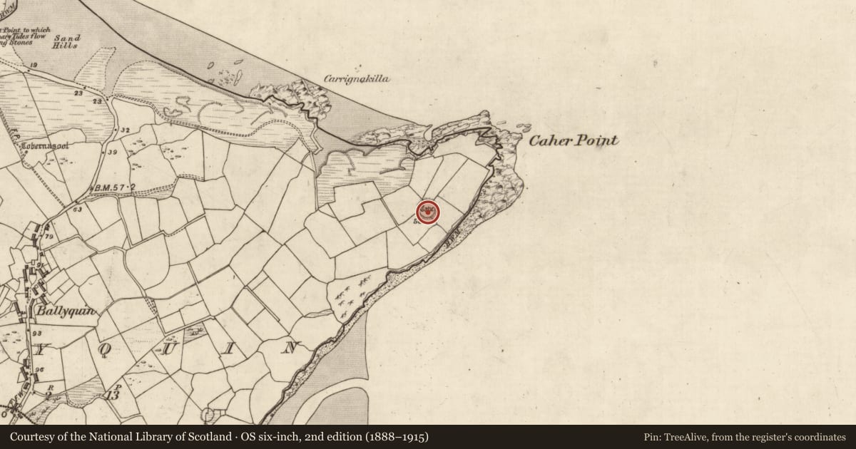 Ordnance Survey six-inch map, 2nd edition (1888–1915) covering the location of Hut site, Baile Uí Bhuinn, County Kerry, with a pin at the register's coordinates
