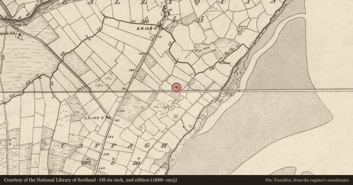 Ordnance Survey six-inch map, 2nd edition (1888–1915) covering the location of Enclosure, An Cheapaigh, County Kerry, with a pin at the register's coordinates