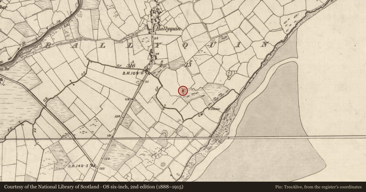 Ordnance Survey six-inch map, 2nd edition (1888–1915) covering the location of Church, Baile Uí Bhuinn, County Kerry, with a pin at the register's coordinates