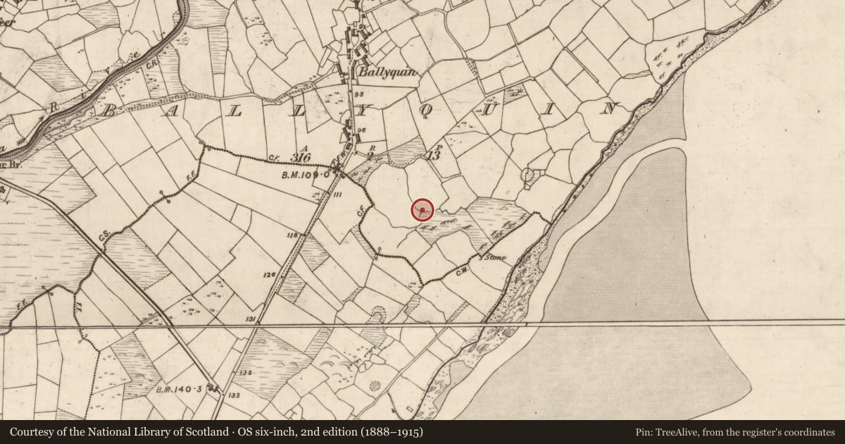 Ordnance Survey six-inch map, 2nd edition (1888–1915) covering the location of Midden, Baile Uí Bhuinn, County Kerry, with a pin at the register's coordinates