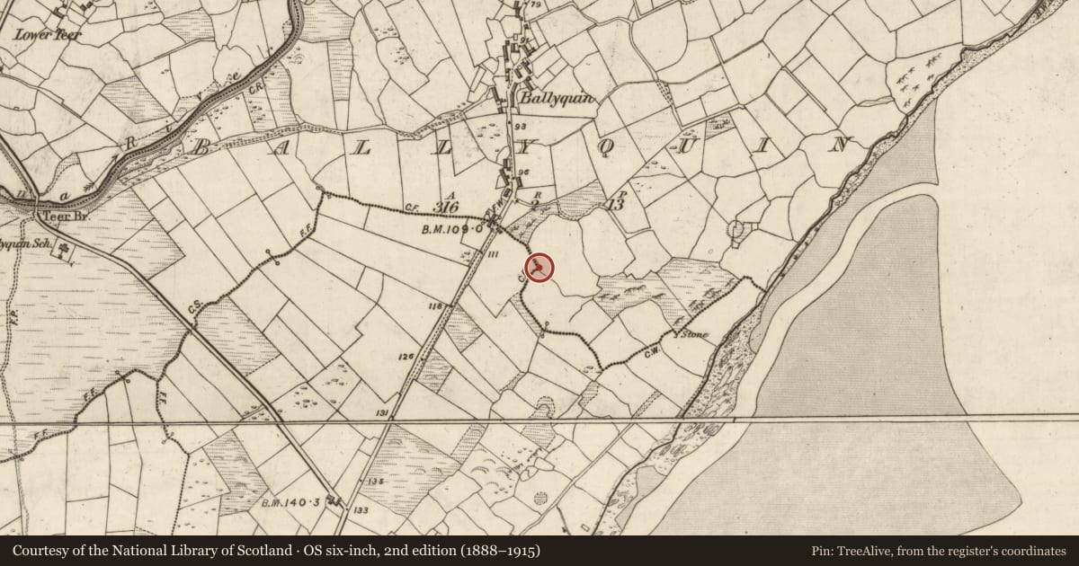 Ordnance Survey six-inch map, 2nd edition (1888–1915) covering the location of Architectural fragment, Baile Uí Bhuinn, County Kerry, with a pin at the register's coordinates