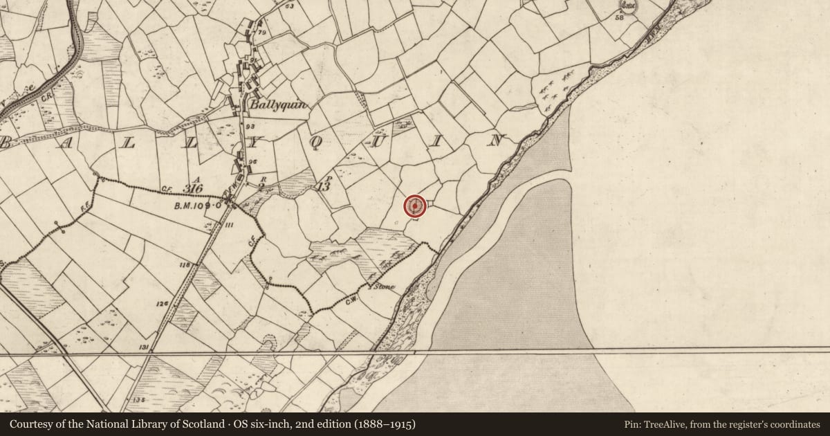 Ordnance Survey six-inch map, 2nd edition (1888–1915) covering the location of Enclosure, Baile Uí Bhuinn, County Kerry, with a pin at the register's coordinates