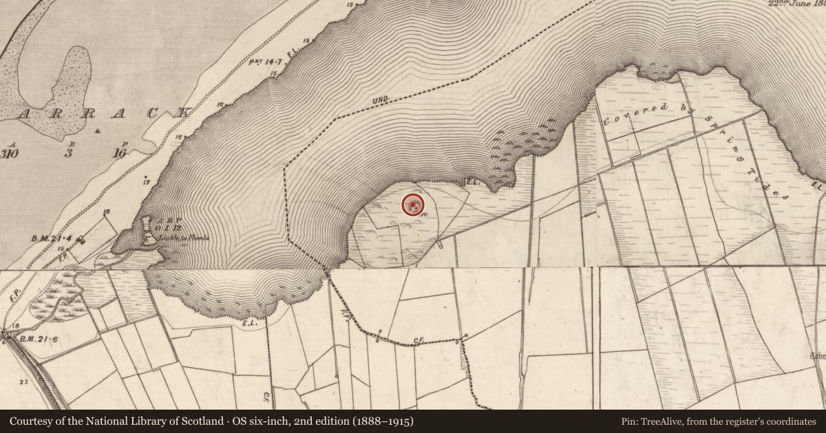 Ordnance Survey six-inch map, 2nd edition (1888–1915) covering the location of Souterrain, Killiney, County Kerry, with a pin at the register's coordinates
