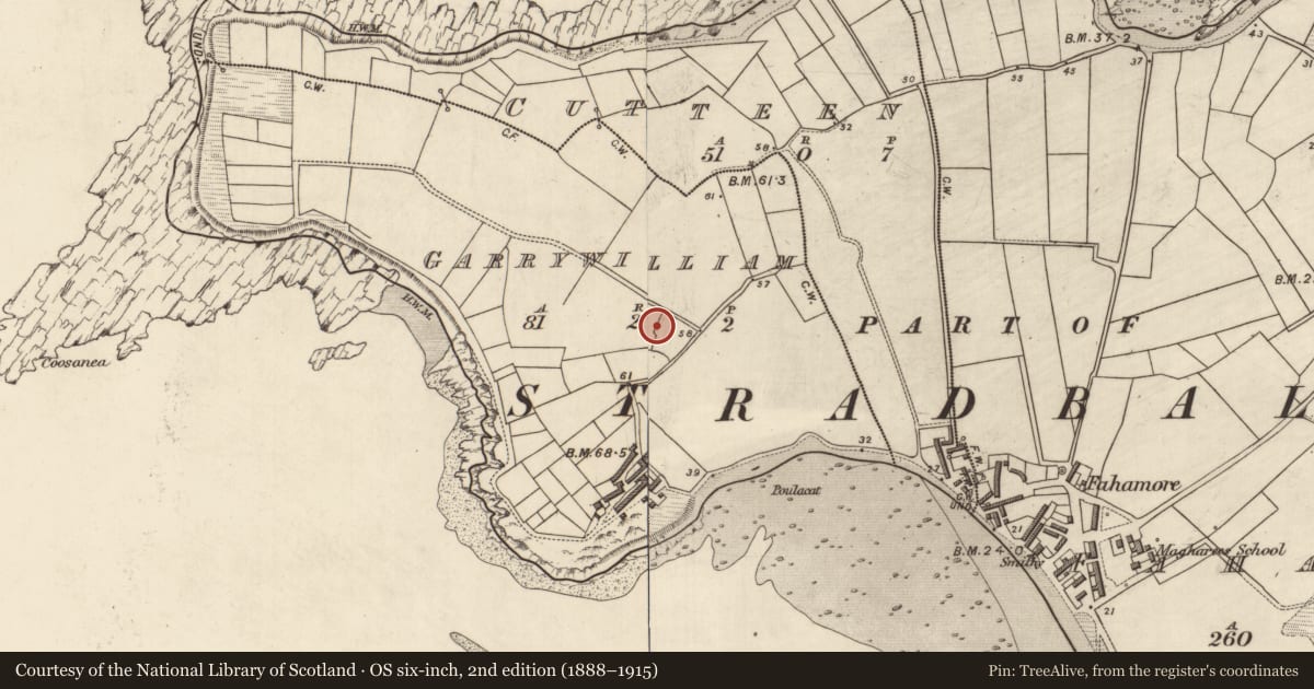 Ordnance Survey six-inch map, 2nd edition (1888–1915) covering the location of Souterrain, Garrywilliam, County Kerry, with a pin at the register's coordinates