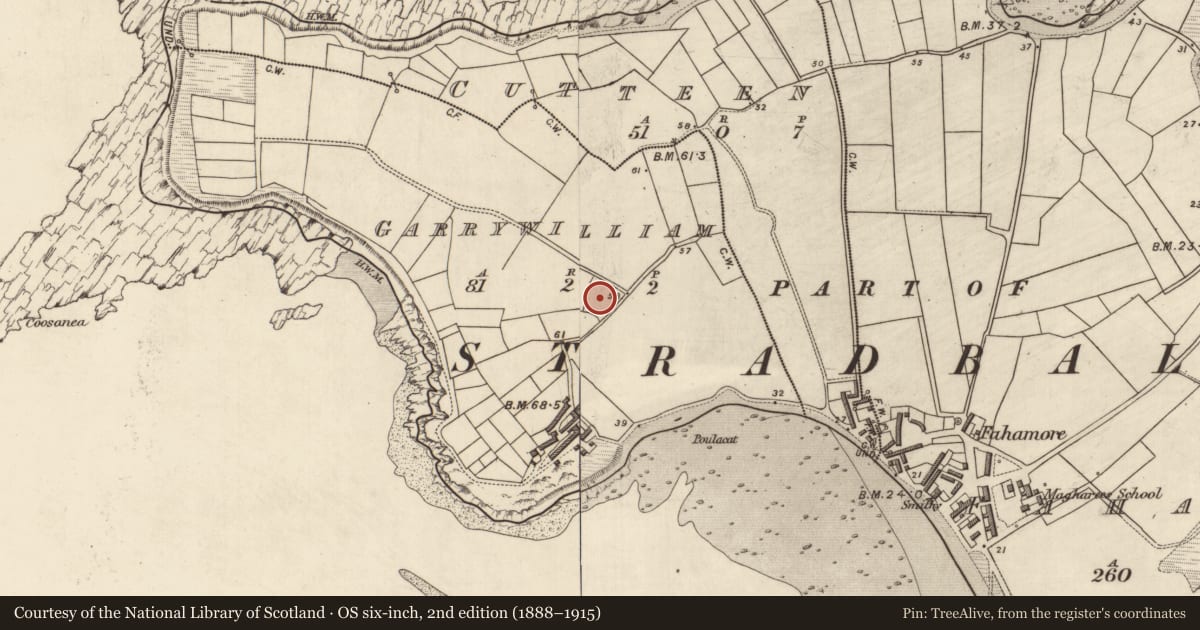Ordnance Survey six-inch map, 2nd edition (1888–1915) covering the location of Castle - unclassified, Garrywilliam, County Kerry, with a pin at the register's coordinates
