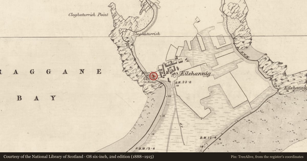 Ordnance Survey six-inch map, 2nd edition (1888–1915) covering the location of Church, Kilshannig, County Kerry, with a pin at the register's coordinates