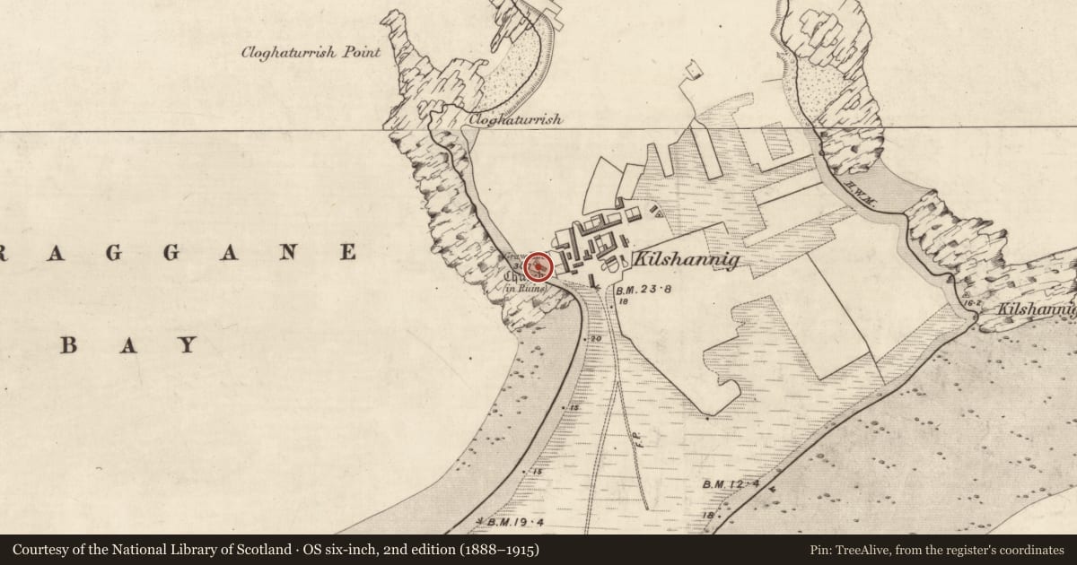 Ordnance Survey six-inch map, 2nd edition (1888–1915) covering the location of Cross-slab, Kilshannig, County Kerry, with a pin at the register's coordinates
