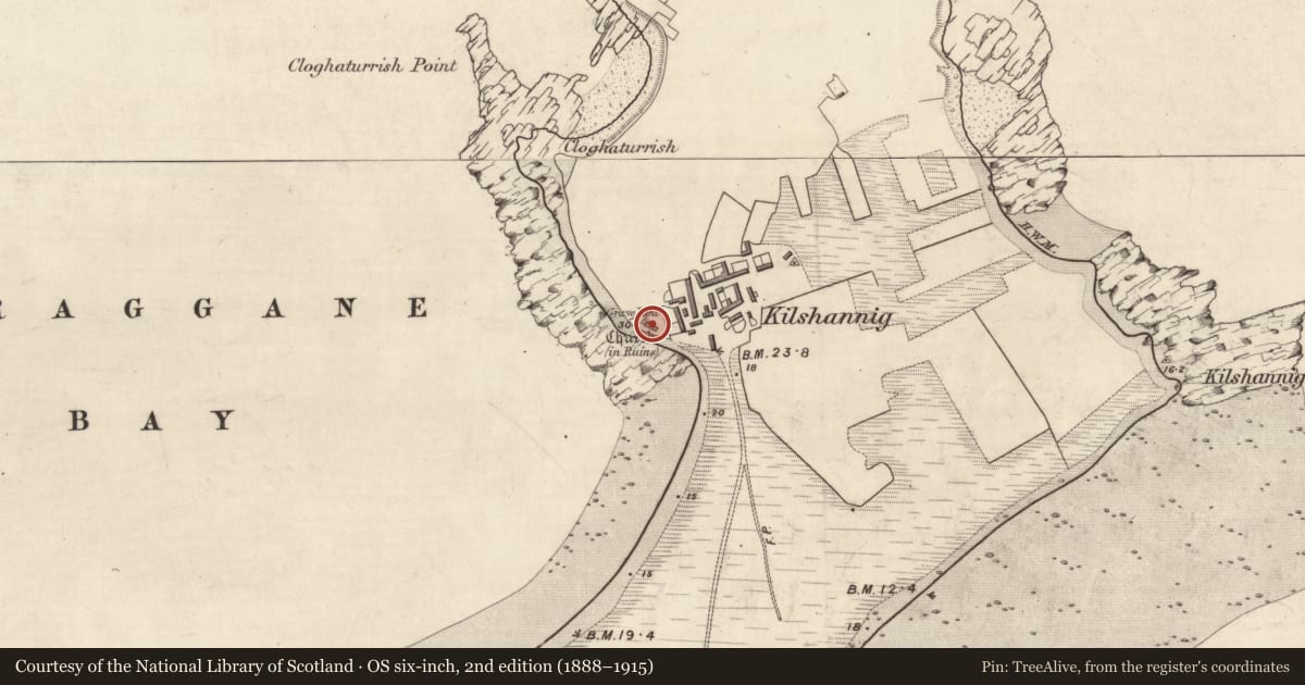 Ordnance Survey six-inch map, 2nd edition (1888–1915) covering the location of Ecclesiastical enclosure, Kilshannig, County Kerry, with a pin at the register's coordinates