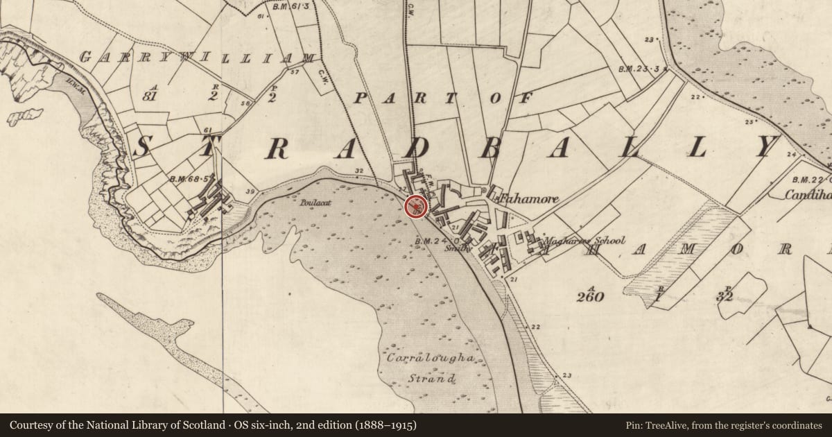 Ordnance Survey six-inch map, 2nd edition (1888–1915) covering the location of Midden, Cutteen, Fahamore, County Kerry, with a pin at the register's coordinates