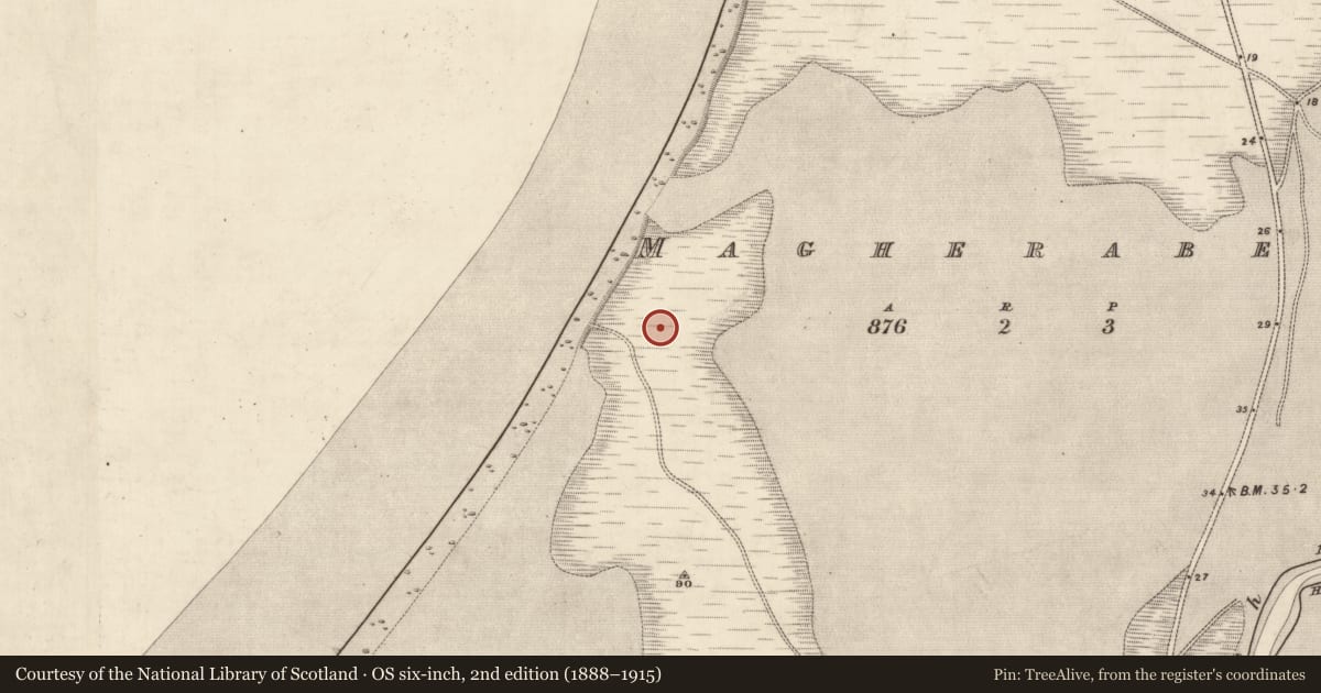 Ordnance Survey six-inch map, 2nd edition (1888–1915) covering the location of Midden, Magherabeg, County Kerry, with a pin at the register's coordinates