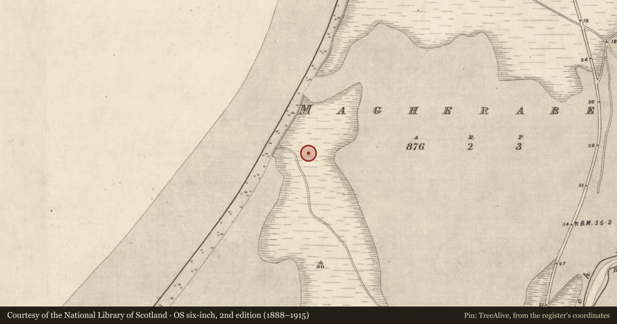 Ordnance Survey six-inch map, 2nd edition (1888–1915) covering the location of Midden, Magherabeg, County Kerry, with a pin at the register's coordinates