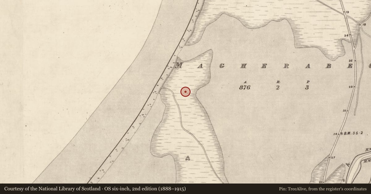 Ordnance Survey six-inch map, 2nd edition (1888–1915) covering the location of Midden, Magherabeg, County Kerry, with a pin at the register's coordinates