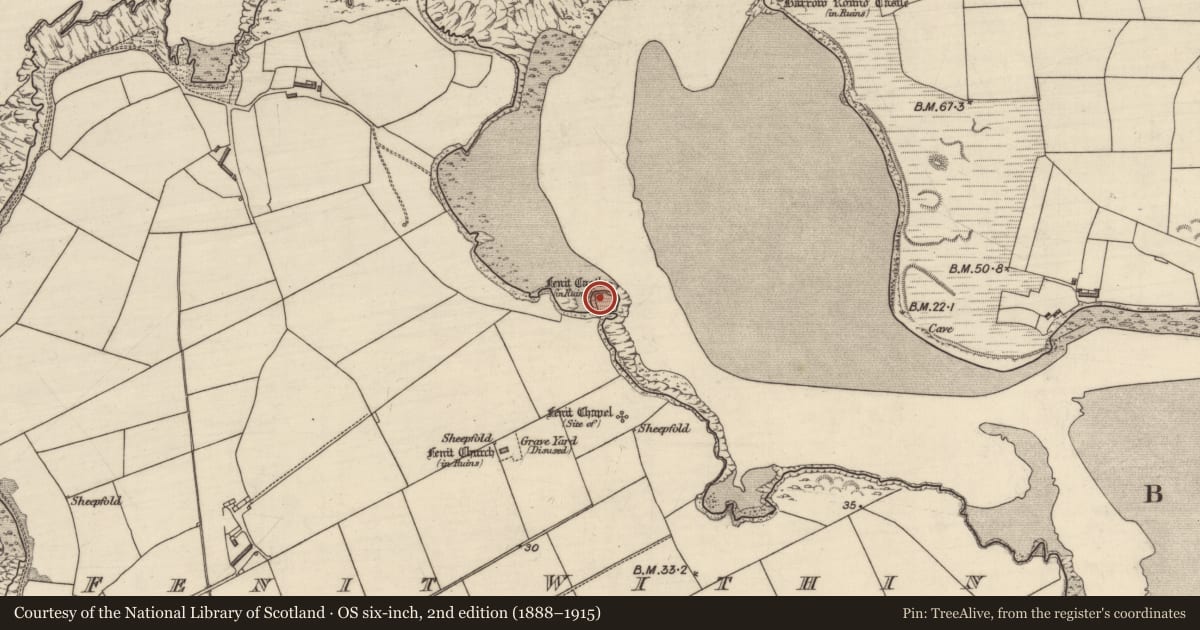 Ordnance Survey six-inch map, 2nd edition (1888–1915) covering the location of Castle - tower house, Fenit Within, County Kerry, with a pin at the register's coordinates