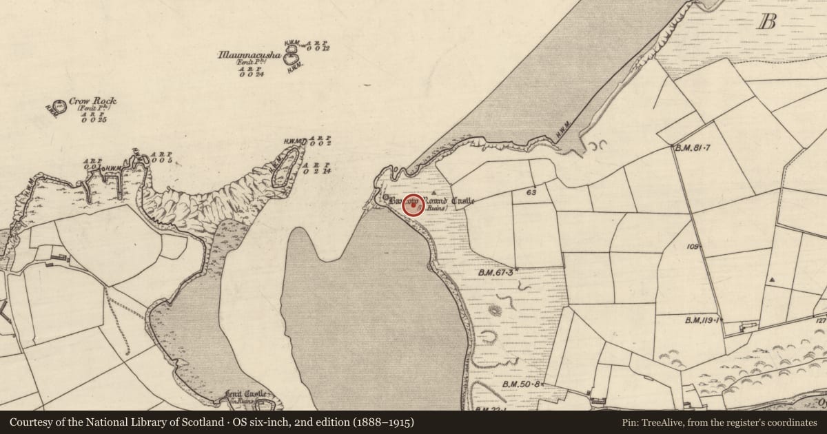 Ordnance Survey six-inch map, 2nd edition (1888–1915) covering the location of Promontory fort - coastal, Barrow, County Kerry, with a pin at the register's coordinates