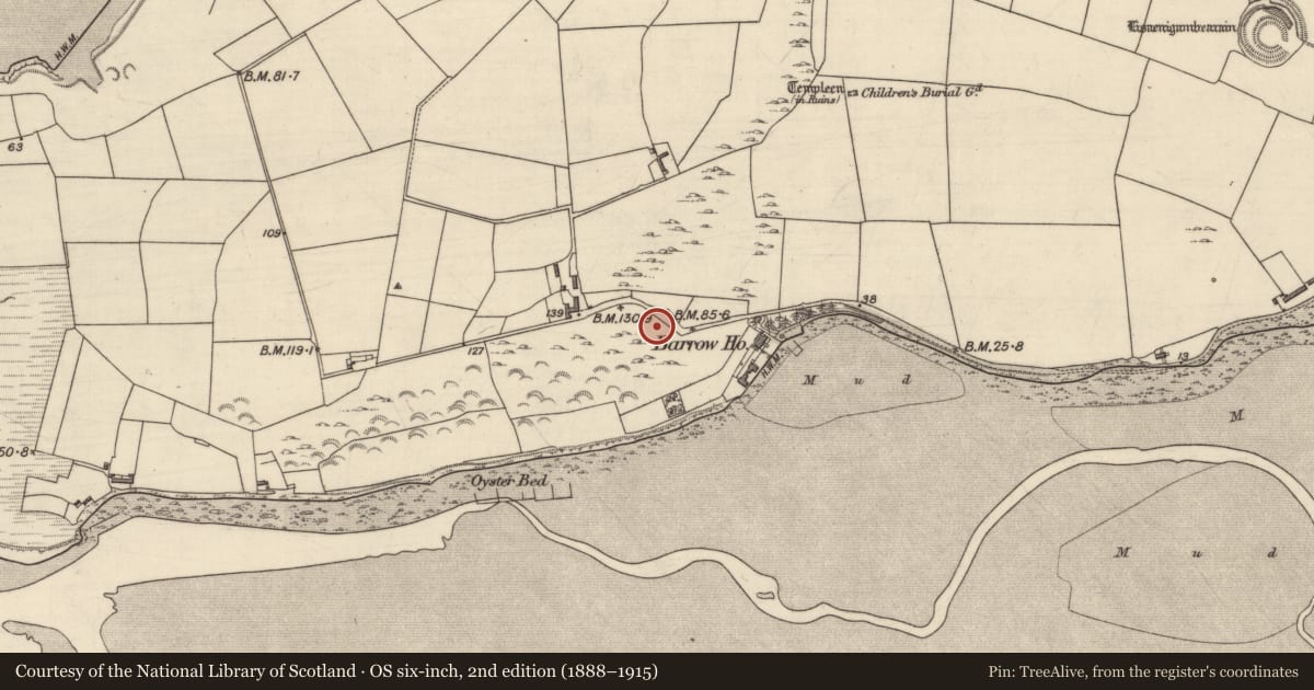 Ordnance Survey six-inch map, 2nd edition (1888–1915) covering the location of Souterrain, Barrow, County Kerry, with a pin at the register's coordinates