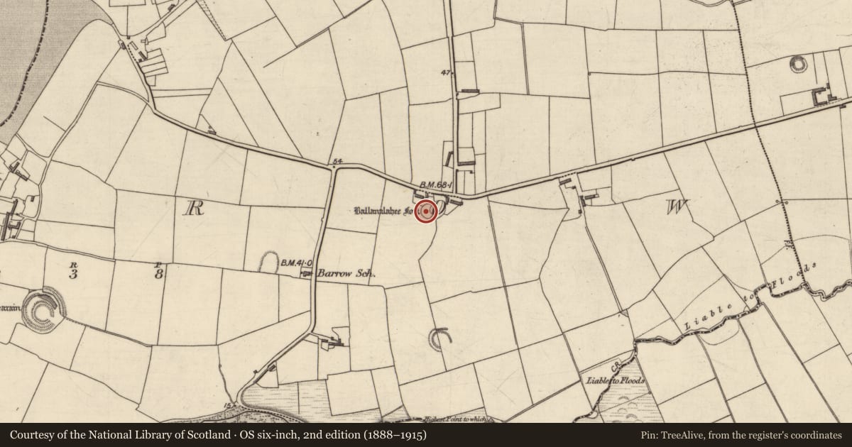 Ordnance Survey six-inch map, 2nd edition (1888–1915) covering the location of Ringfort - rath, Barrow, County Kerry, with a pin at the register's coordinates