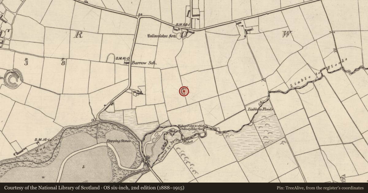 Ordnance Survey six-inch map, 2nd edition (1888–1915) covering the location of Enclosure, Barrow, County Kerry, with a pin at the register's coordinates