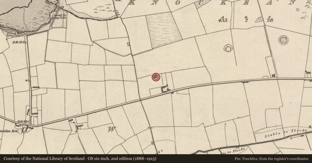 Ordnance Survey six-inch map, 2nd edition (1888–1915) covering the location of Enclosure, Knockeanagh, County Kerry, with a pin at the register's coordinates