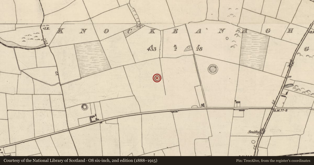Ordnance Survey six-inch map, 2nd edition (1888–1915) covering the location of Ringfort - rath, Knockeanagh, County Kerry, with a pin at the register's coordinates