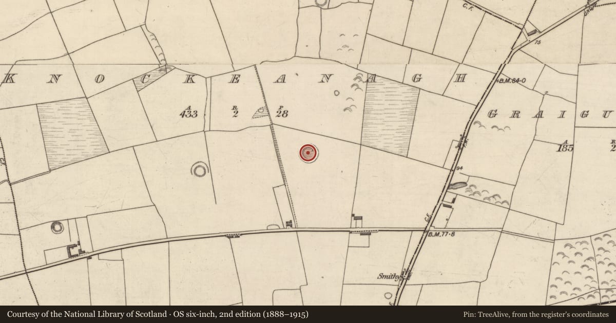 Ordnance Survey six-inch map, 2nd edition (1888–1915) covering the location of Ringfort - rath, Knockeanagh, County Kerry, with a pin at the register's coordinates