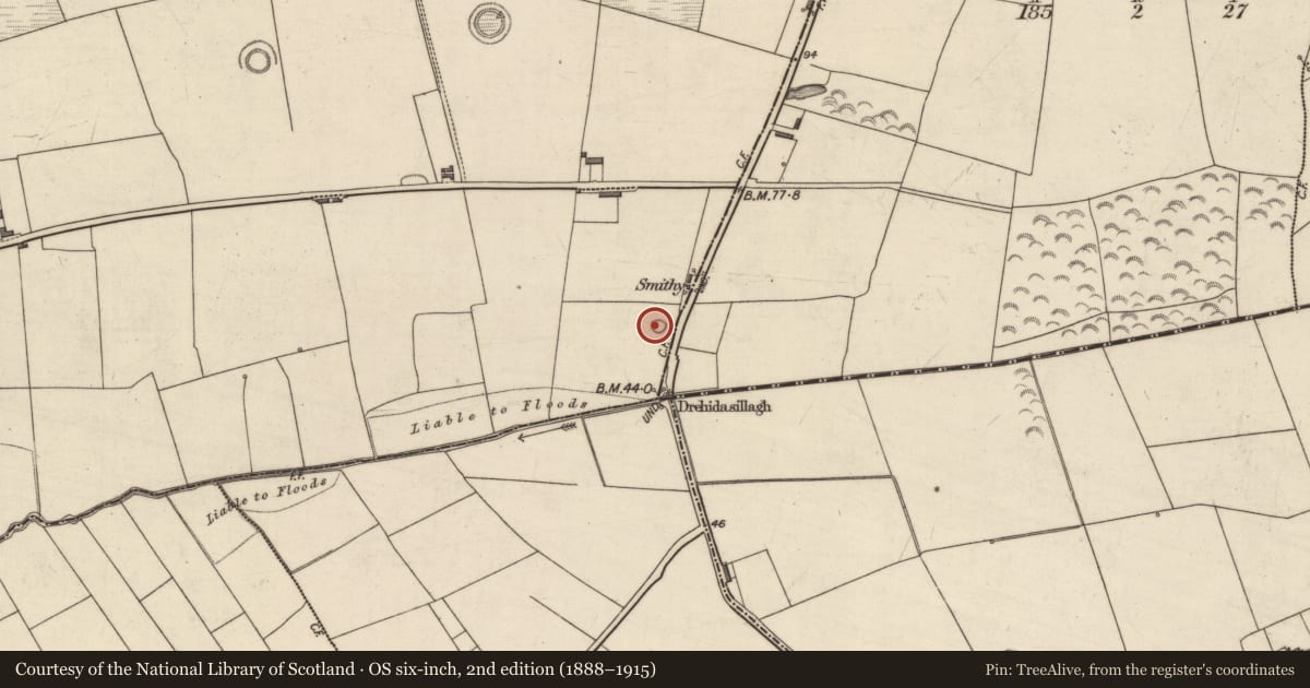 Ordnance Survey six-inch map, 2nd edition (1888–1915) covering the location of Enclosure, Knockeanagh, County Kerry, with a pin at the register's coordinates