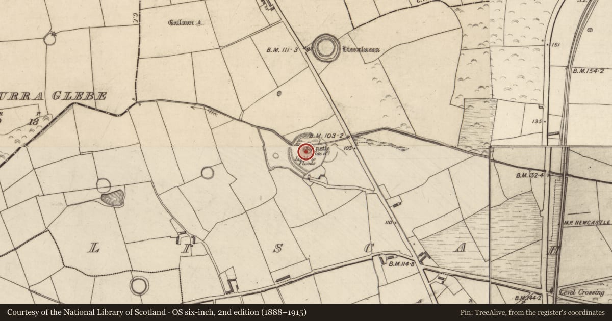Ordnance Survey six-inch map, 2nd edition (1888–1915) covering the location of Castle - unclassified, Liscahane, County Kerry, with a pin at the register's coordinates