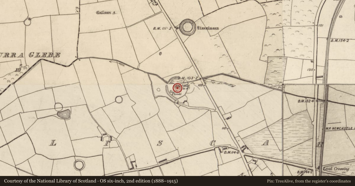 Ordnance Survey six-inch map, 2nd edition (1888–1915) covering the location of Earthwork, Liscahane, County Kerry, with a pin at the register's coordinates