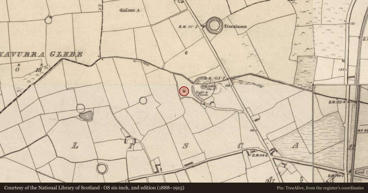 Ordnance Survey six-inch map, 2nd edition (1888–1915) covering the location of Mound, Liscahane, County Kerry, with a pin at the register's coordinates