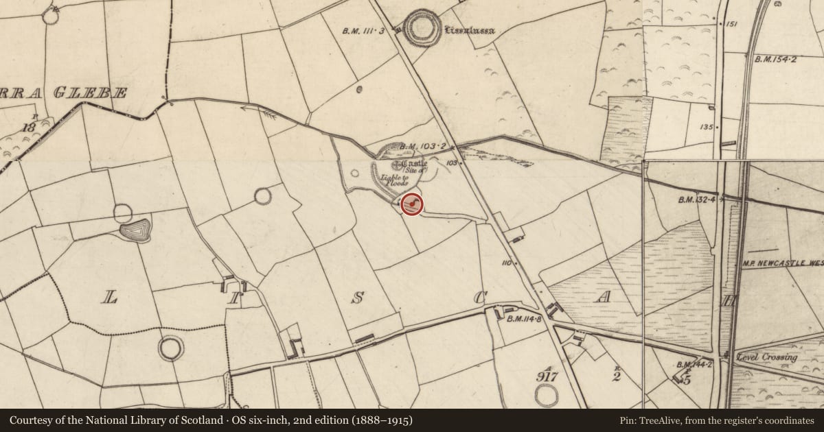 Ordnance Survey six-inch map, 2nd edition (1888–1915) covering the location of Mill - unclassified, Liscahane, County Kerry, with a pin at the register's coordinates