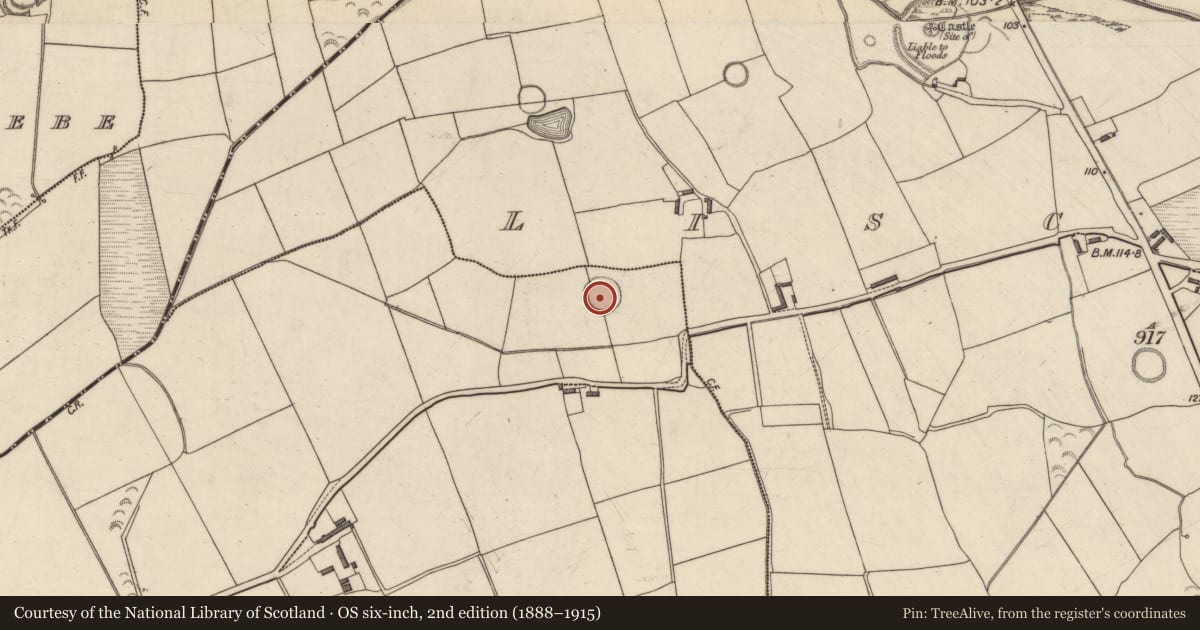 Ordnance Survey six-inch map, 2nd edition (1888–1915) covering the location of Ringfort - rath, Listrim, County Kerry, with a pin at the register's coordinates