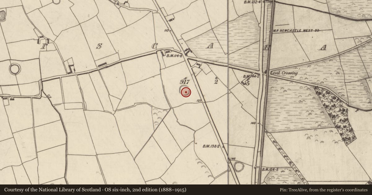 Ordnance Survey six-inch map, 2nd edition (1888–1915) covering the location of Enclosure, Liscahane, County Kerry, with a pin at the register's coordinates