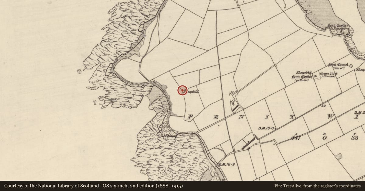 Ordnance Survey six-inch map, 2nd edition (1888–1915) covering the location of Sheepfold, Fenit Within, County Kerry, with a pin at the register's coordinates