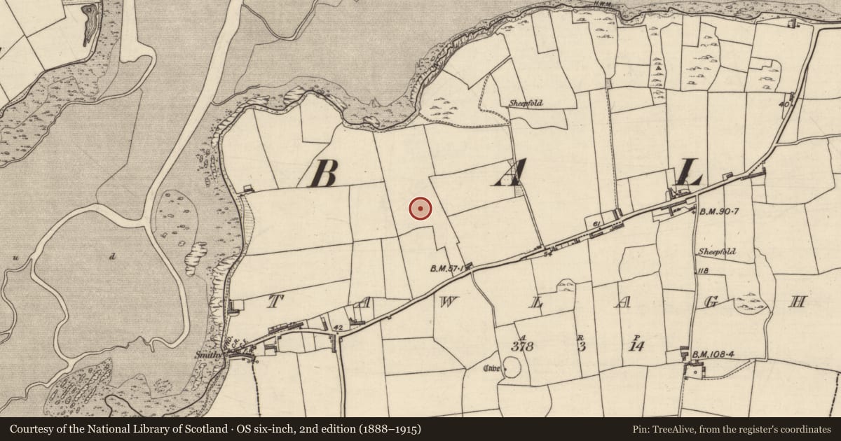 Ordnance Survey six-inch map, 2nd edition (1888–1915) covering the location of Midden, Tawlaght (Trughanacmy By., Ballynahaglish Par.), County Kerry, with a pin at the register's coordinates
