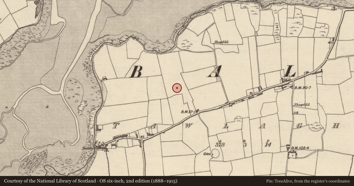 Ordnance Survey six-inch map, 2nd edition (1888–1915) covering the location of Souterrain, Tawlaght (Trughanacmy By., Ballynahaglish Par.), County Kerry, with a pin at the register's coordinates