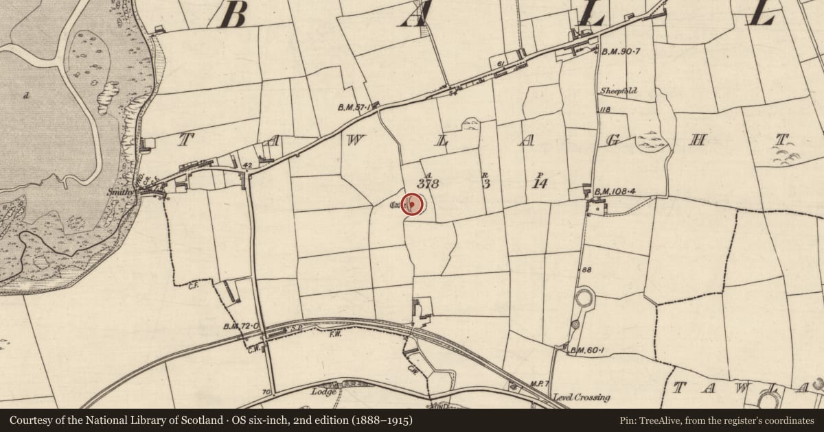 Ordnance Survey six-inch map, 2nd edition (1888–1915) covering the location of Souterrain, Tawlaght (Trughanacmy By., Ballynahaglish Par.), County Kerry, with a pin at the register's coordinates
