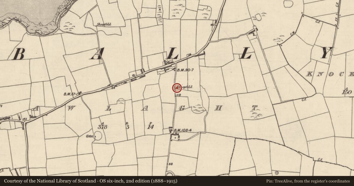 Ordnance Survey six-inch map, 2nd edition (1888–1915) covering the location of Sheepfold, Tawlaght (Trughanacmy By., Ballynahaglish Par.), County Kerry, with a pin at the register's coordinates