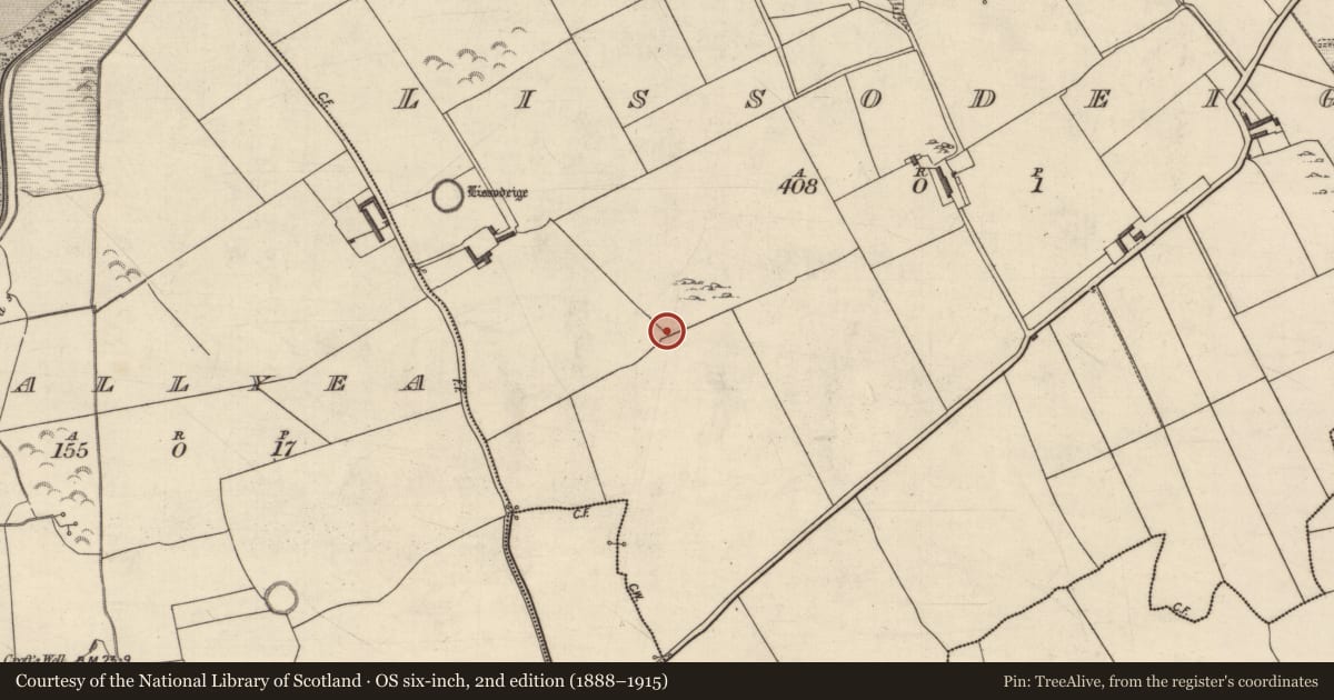 Ordnance Survey six-inch map, 2nd edition (1888–1915) covering the location of Ringfort - rath, Lissodeige, County Kerry, with a pin at the register's coordinates