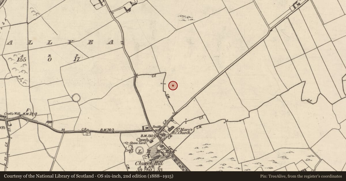 Ordnance Survey six-inch map, 2nd edition (1888–1915) covering the location of Ringfort - rath, Lissodeige, County Kerry, with a pin at the register's coordinates