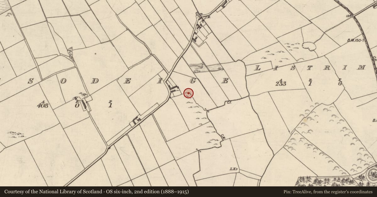 Ordnance Survey six-inch map, 2nd edition (1888–1915) covering the location of Cave, Lissodeige, County Kerry, with a pin at the register's coordinates