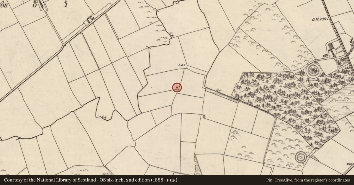 Ordnance Survey six-inch map, 2nd edition (1888–1915) covering the location of Earthwork, Ballygarran, County Kerry, with a pin at the register's coordinates