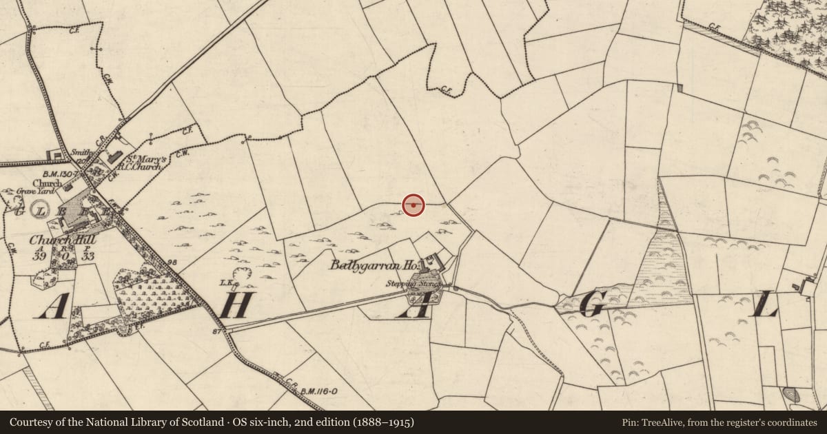 Ordnance Survey six-inch map, 2nd edition (1888–1915) covering the location of Field boundary, Ballygarran, County Kerry, with a pin at the register's coordinates
