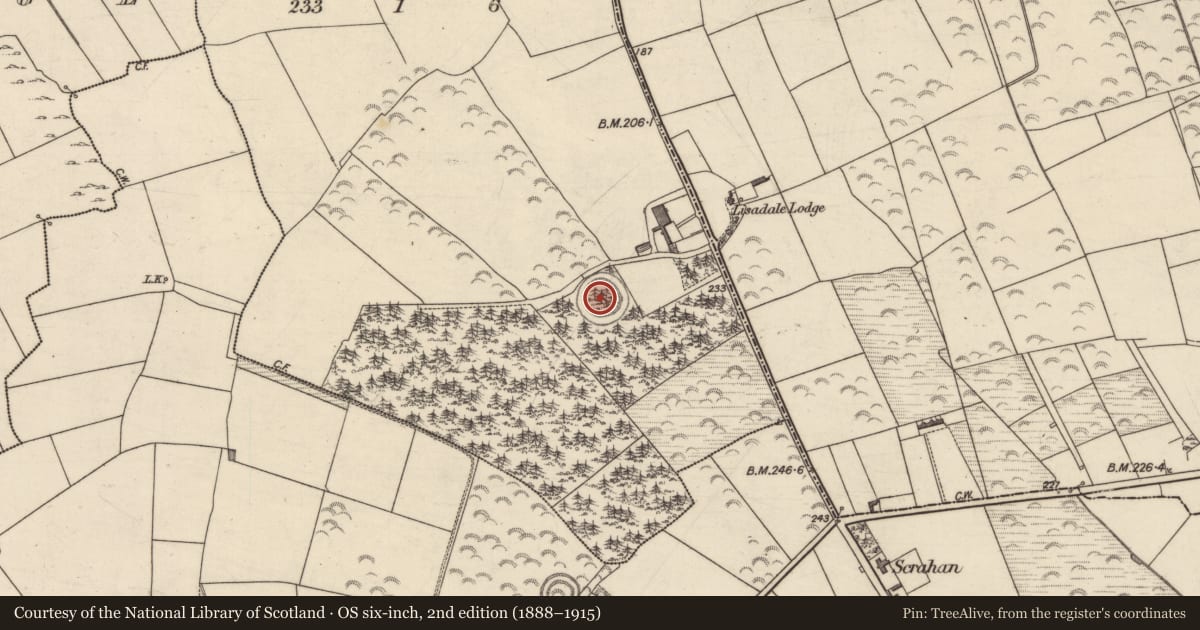 Ordnance Survey six-inch map, 2nd edition (1888–1915) covering the location of Ringfort - cashel, Listrim, County Kerry, with a pin at the register's coordinates