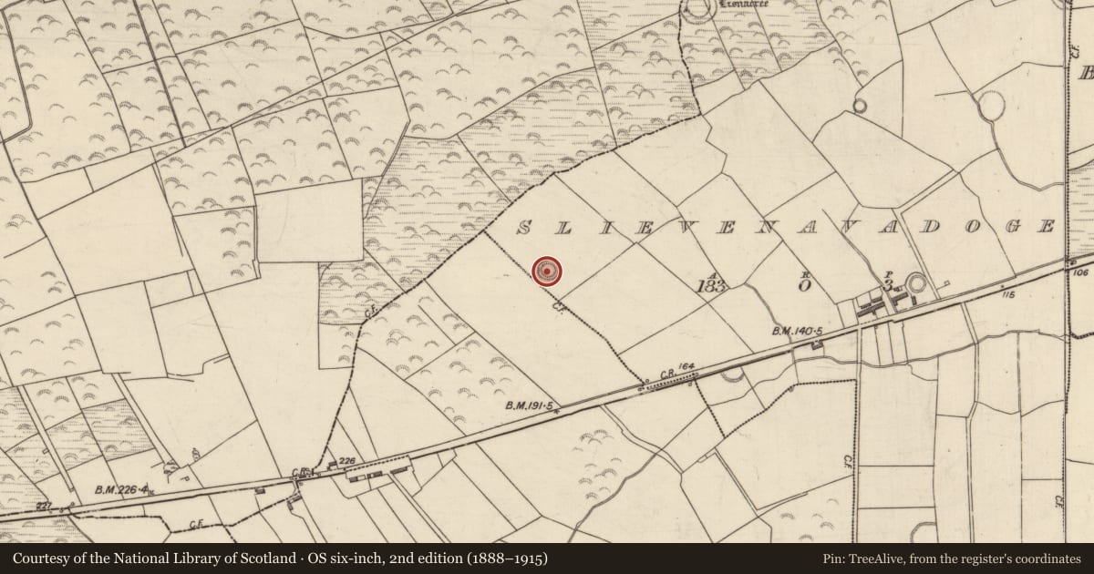 Ordnance Survey six-inch map, 2nd edition (1888–1915) covering the location of Ringfort - rath, Slievenavadoge, County Kerry, with a pin at the register's coordinates