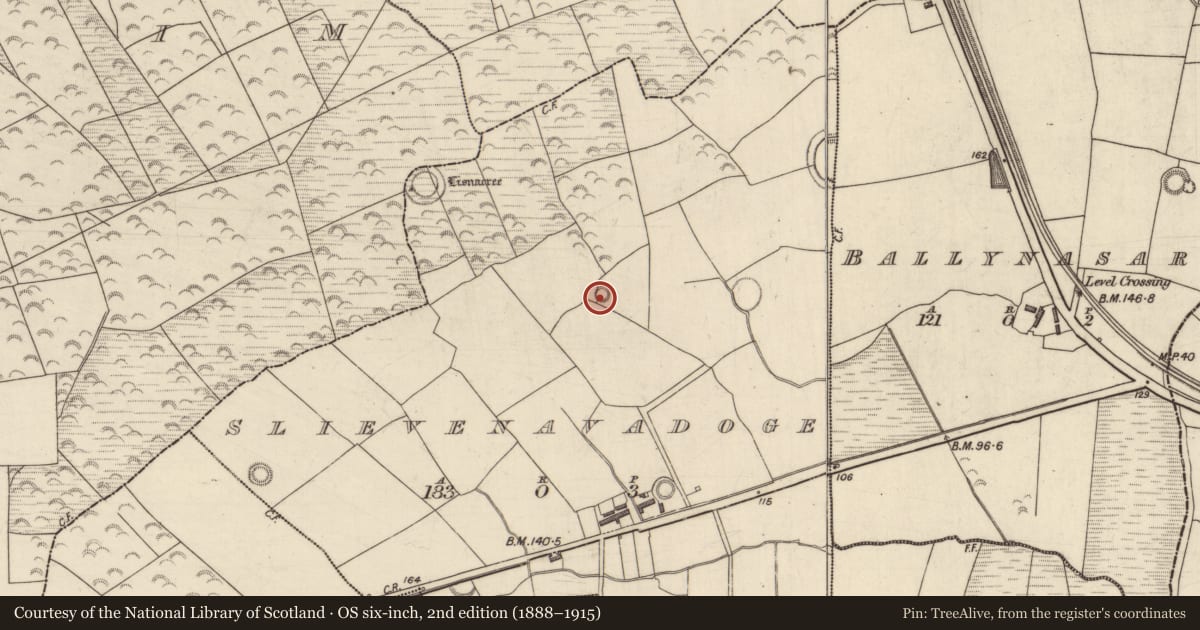 Ordnance Survey six-inch map, 2nd edition (1888–1915) covering the location of Ringfort - rath, Slievenavadoge, County Kerry, with a pin at the register's coordinates