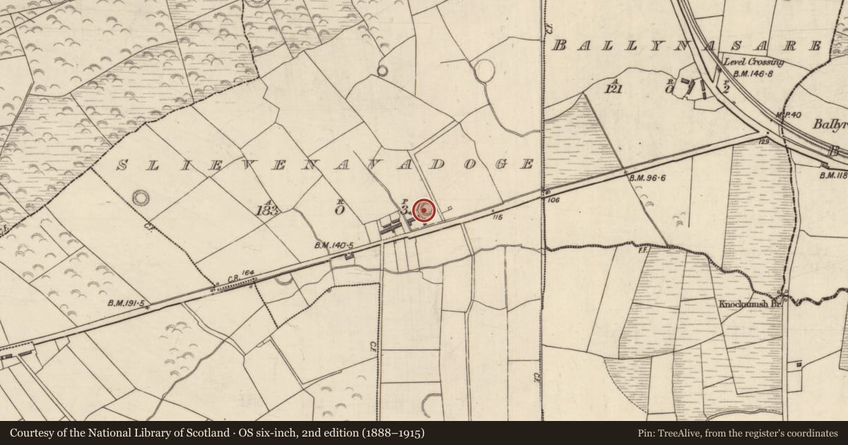 Ordnance Survey six-inch map, 2nd edition (1888–1915) covering the location of Enclosure, Slievenavadoge, County Kerry, with a pin at the register's coordinates