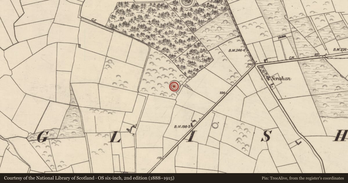 Ordnance Survey six-inch map, 2nd edition (1888–1915) covering the location of Ringfort - rath, Ballygarran, County Kerry, with a pin at the register's coordinates