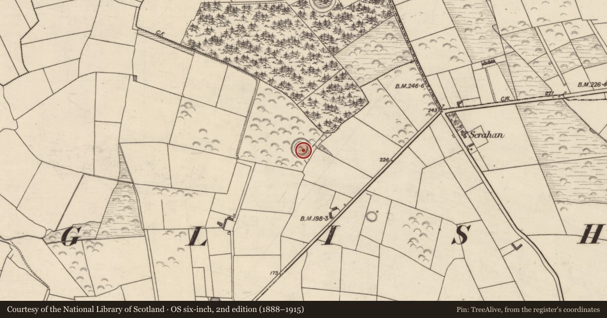 Ordnance Survey six-inch map, 2nd edition (1888–1915) covering the location of Hut site, Ballygarran, County Kerry, with a pin at the register's coordinates