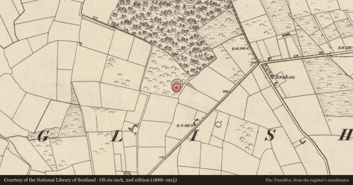 Ordnance Survey six-inch map, 2nd edition (1888–1915) covering the location of Hut site, Ballygarran, County Kerry, with a pin at the register's coordinates