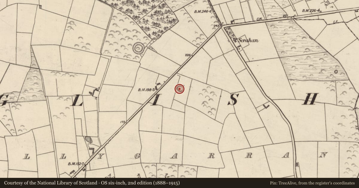 Ordnance Survey six-inch map, 2nd edition (1888–1915) covering the location of Ringfort - rath, Ballygarran, County Kerry, with a pin at the register's coordinates